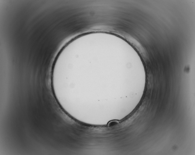X0000102371288200808291240