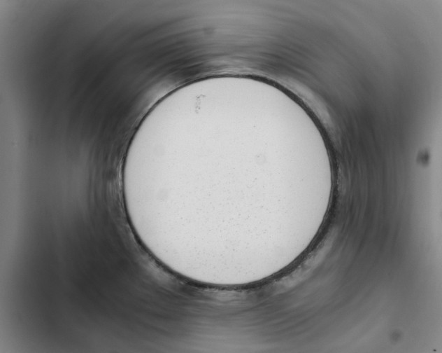 X0000102371289200808291240