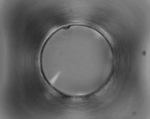 X0000102371291200808291240