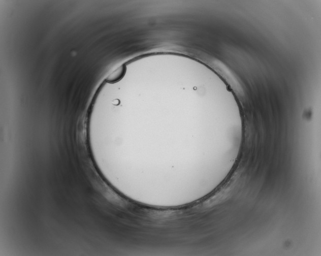 X0000102371292200808291240