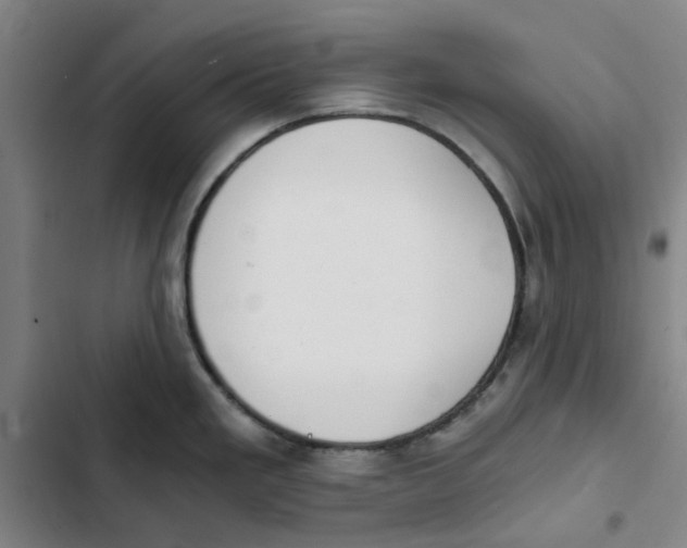 X0000102371293200808291240