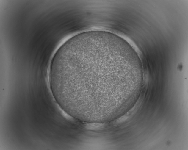 X0000102371294200808291240
