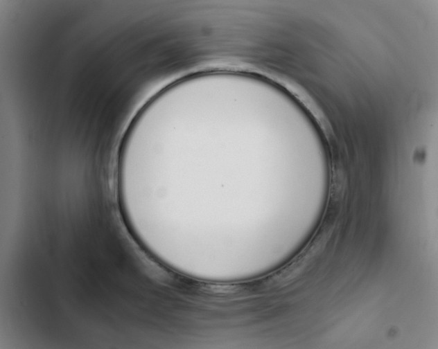 X0000102371295200808291240
