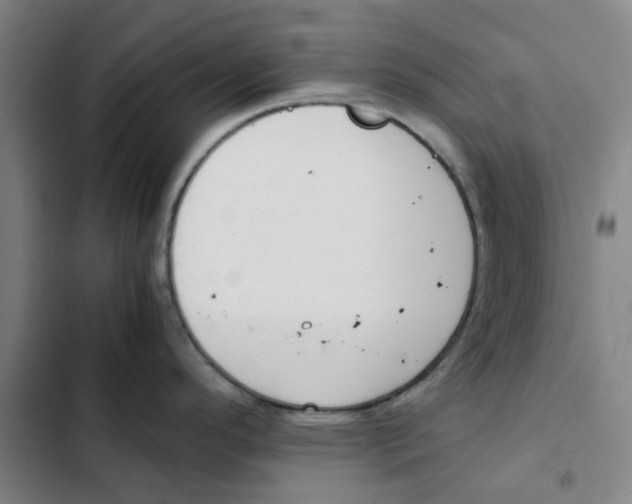 X0000102371296200808291240