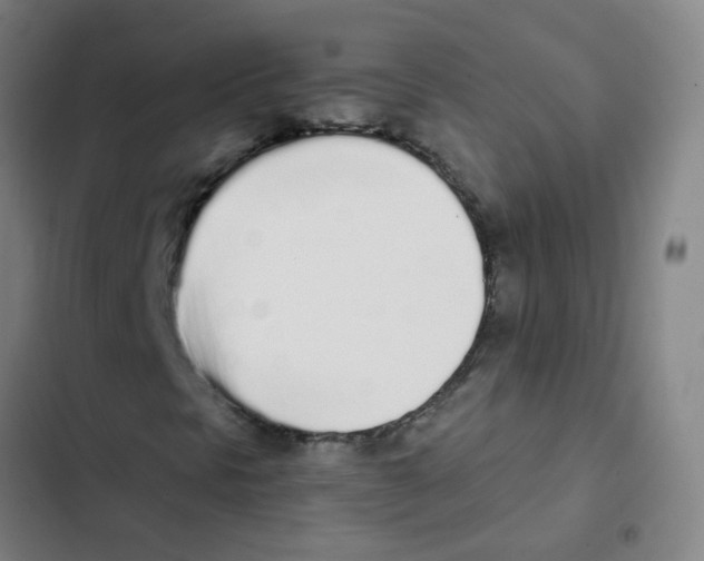 X0000102371297200808291239