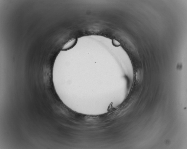 X0000102371299200808291239