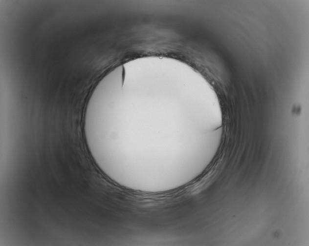 X0000102371300200808291239