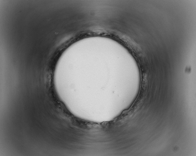 X0000102371302200808291239