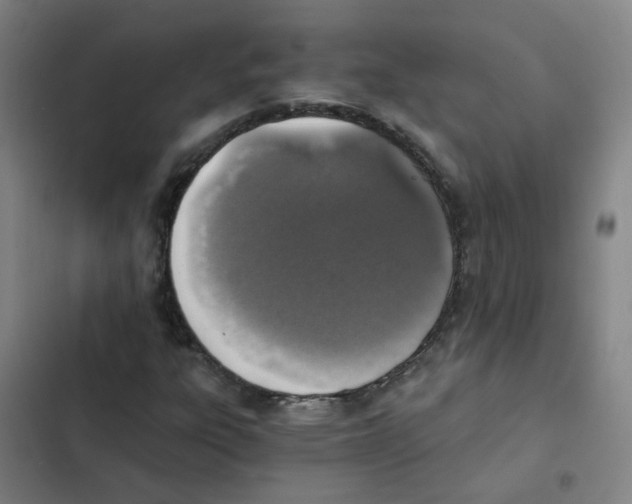 X0000102371303200808291239
