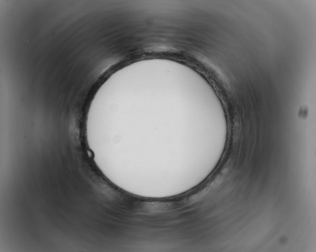 X0000102371305200808291239