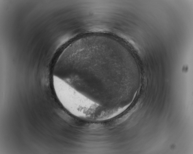 X0000102371306200808291239