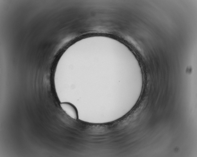X0000102371307200808291239