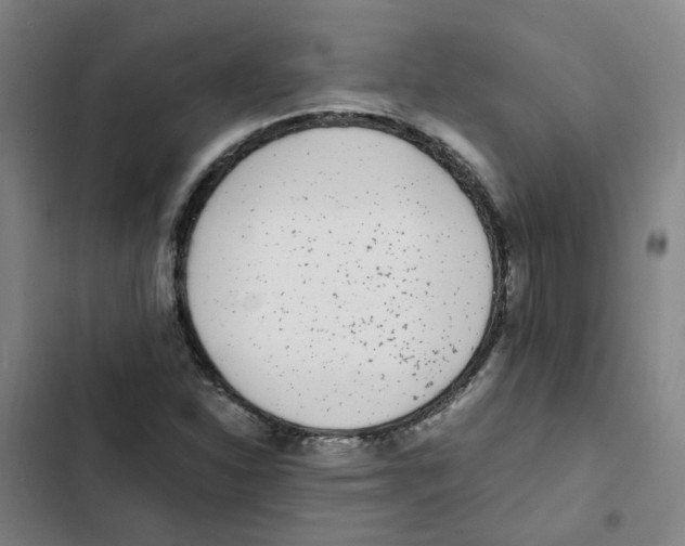 X0000102371310200808291239