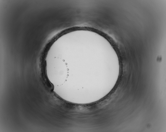 X0000102371311200808291239