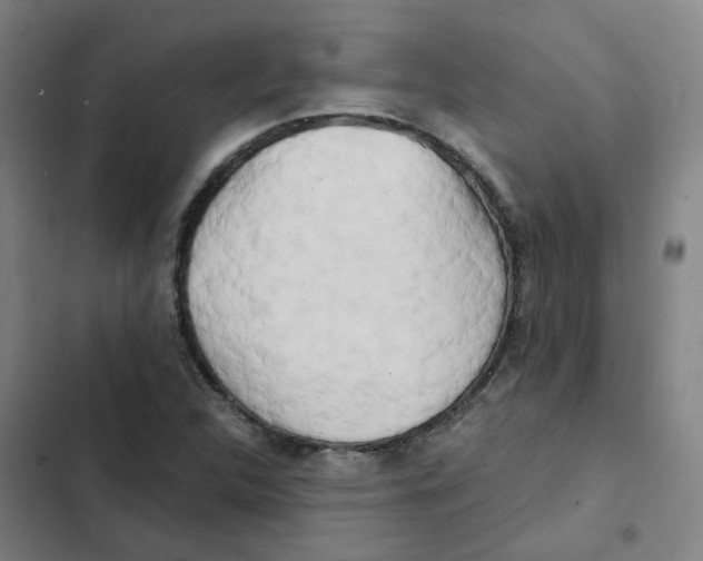 X0000102371312200808291239