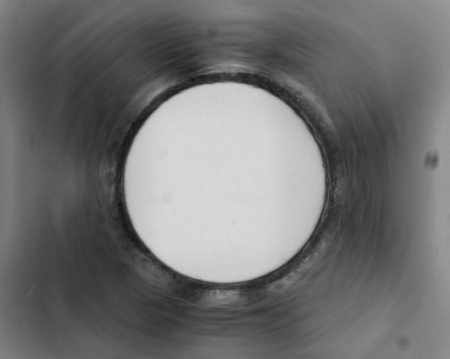 X0000102371313200808291239