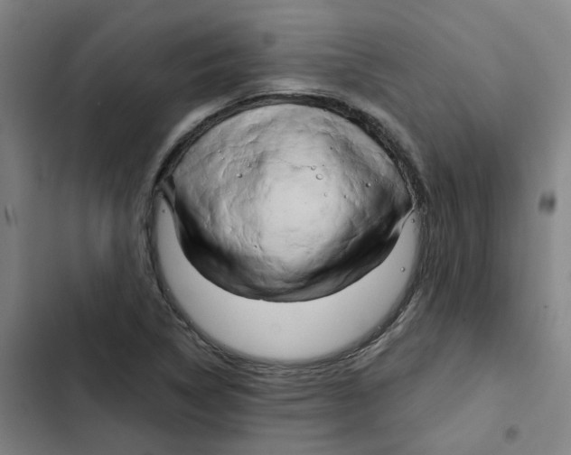 X0000102371314200808291239