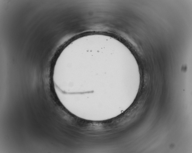 X0000102371315200808291239