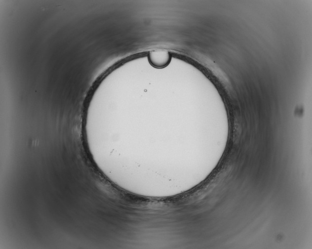 X0000102371316200808291239