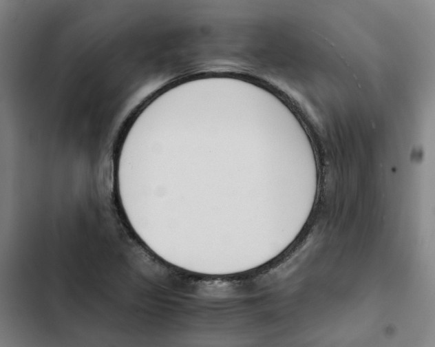 X0000102371317200808291239