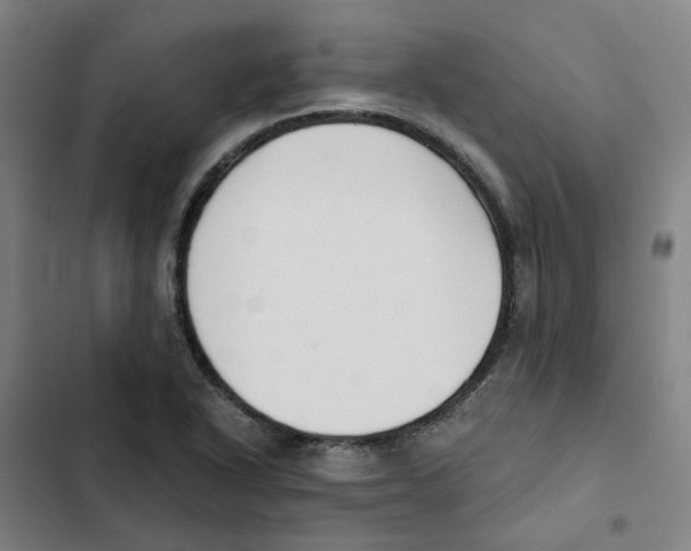 X0000102371318200808291239
