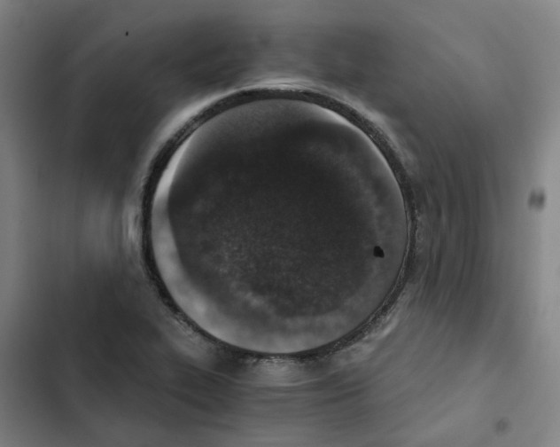 X0000102371319200808291239