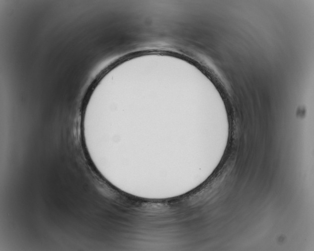X0000102371320200808291240