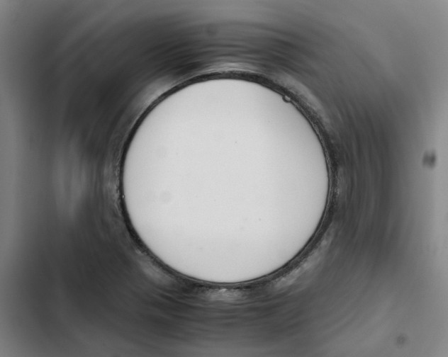 X0000102371321200808291240
