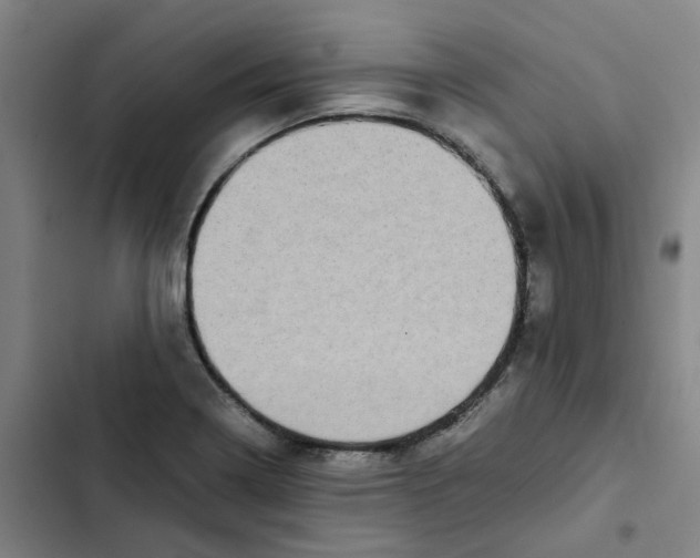 X0000102371322200808291240