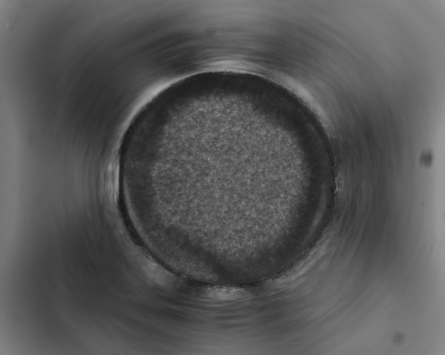 X0000102371323200808291240