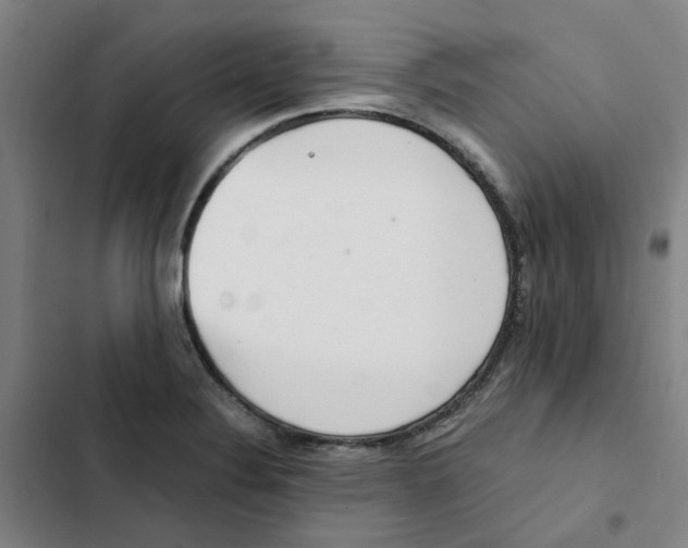 X0000102371324200808291240
