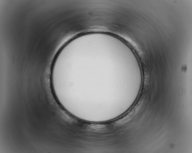 X0000102371325200808291240
