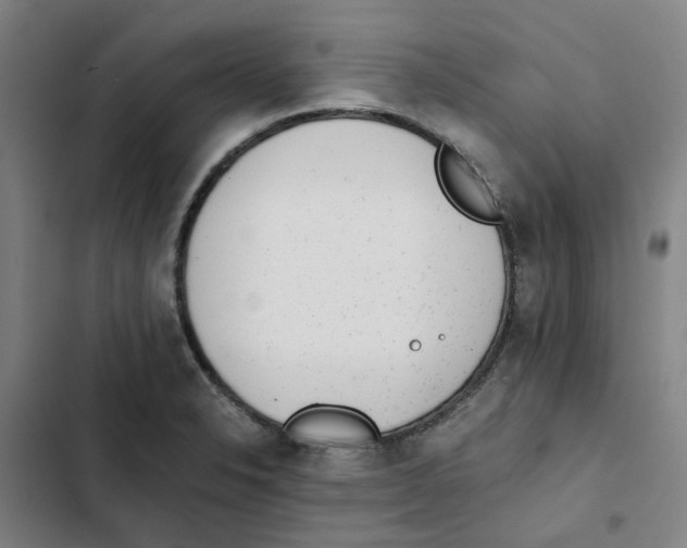X0000102371326200808291240