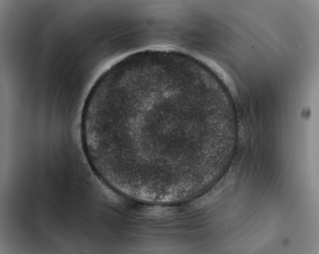 X0000102371327200808291240