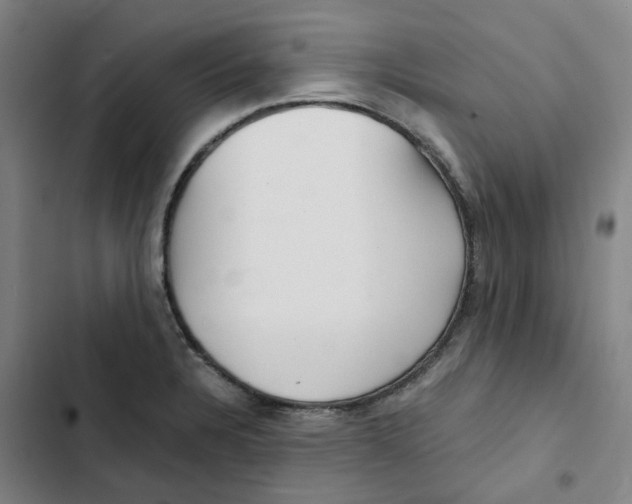 X0000102371328200808291240