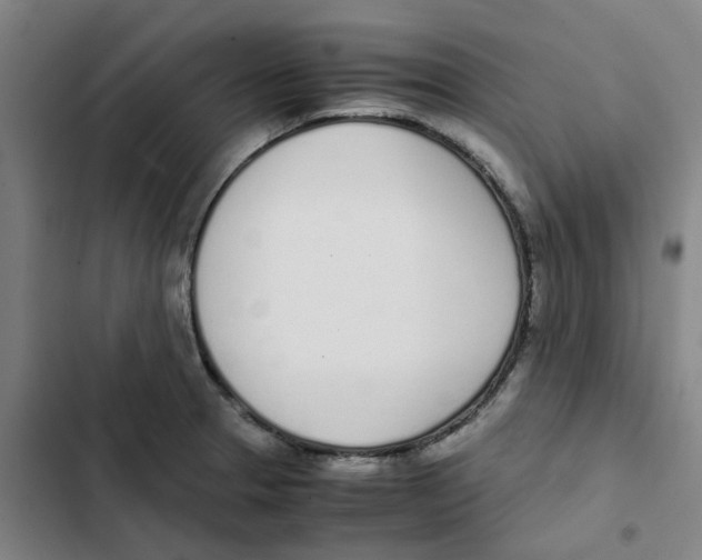 X0000102371329200808291240
