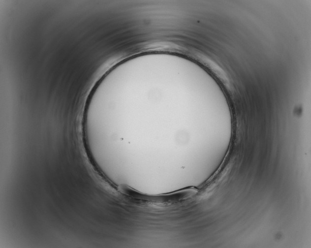 X0000102371330200808291240