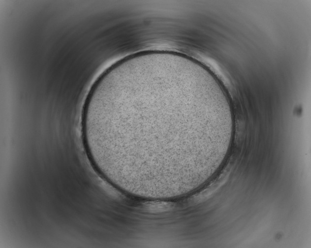 X0000102371331200808291240