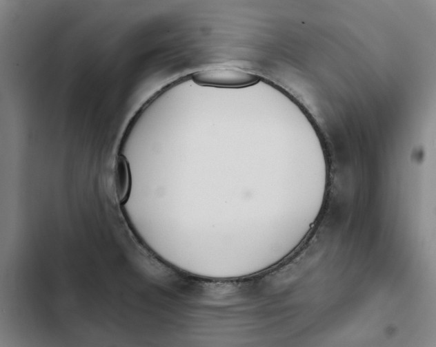 X0000102371332200808291240