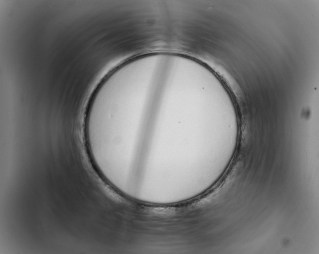 X0000102371333200808291240