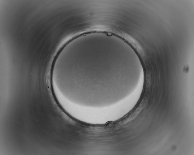 X0000102371334200808291240