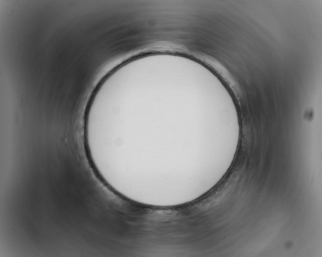 X0000102371335200808291240