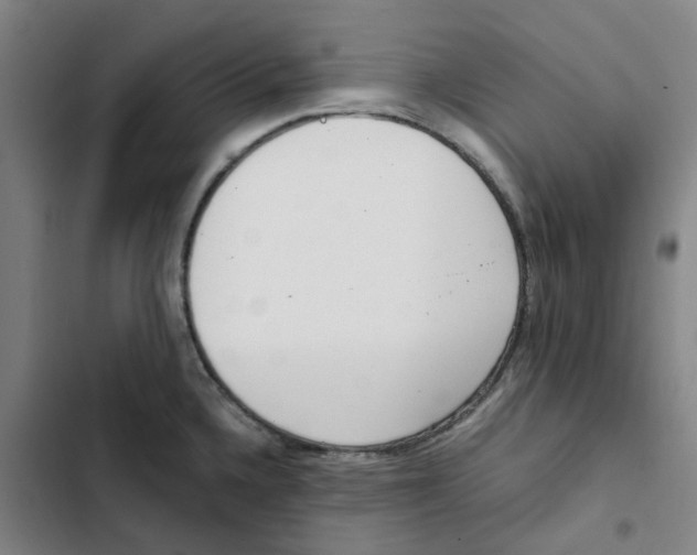 X0000102371336200808291240