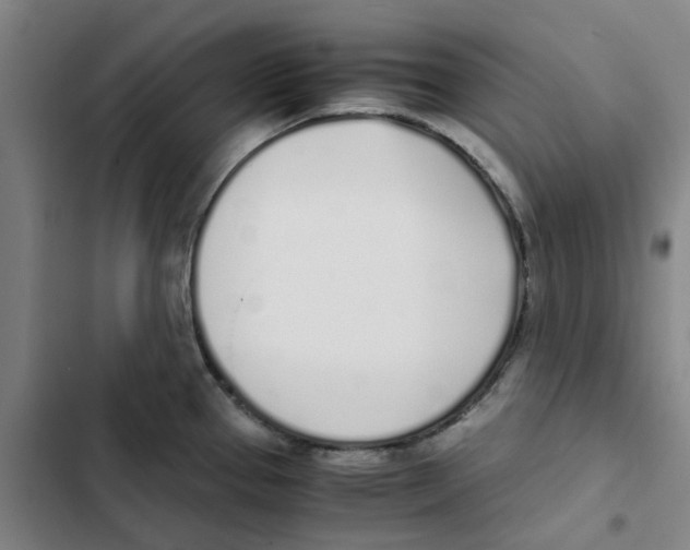 X0000102371337200808291240