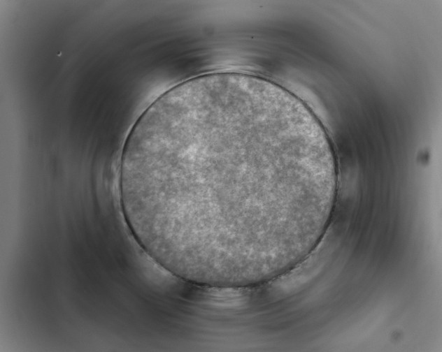 X0000102371338200808291240