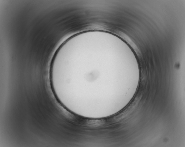 X0000102371339200808291240