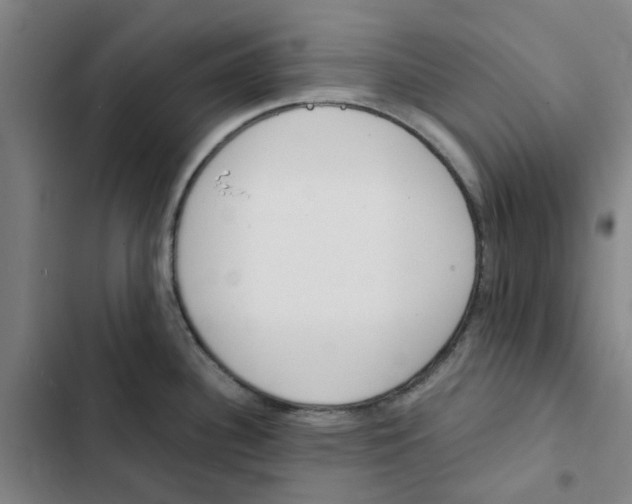 X0000102371340200808291240