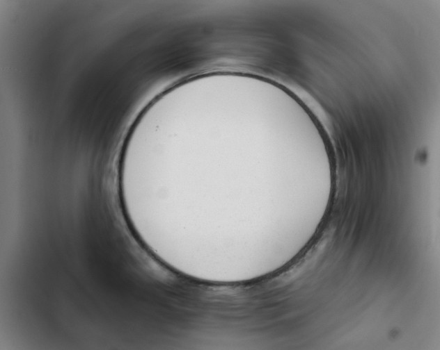 X0000102371341200808291240
