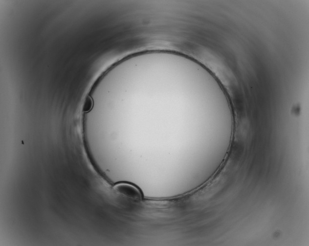 X0000102371342200808291240