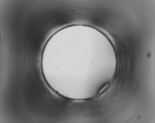 X0000102371343200808291240